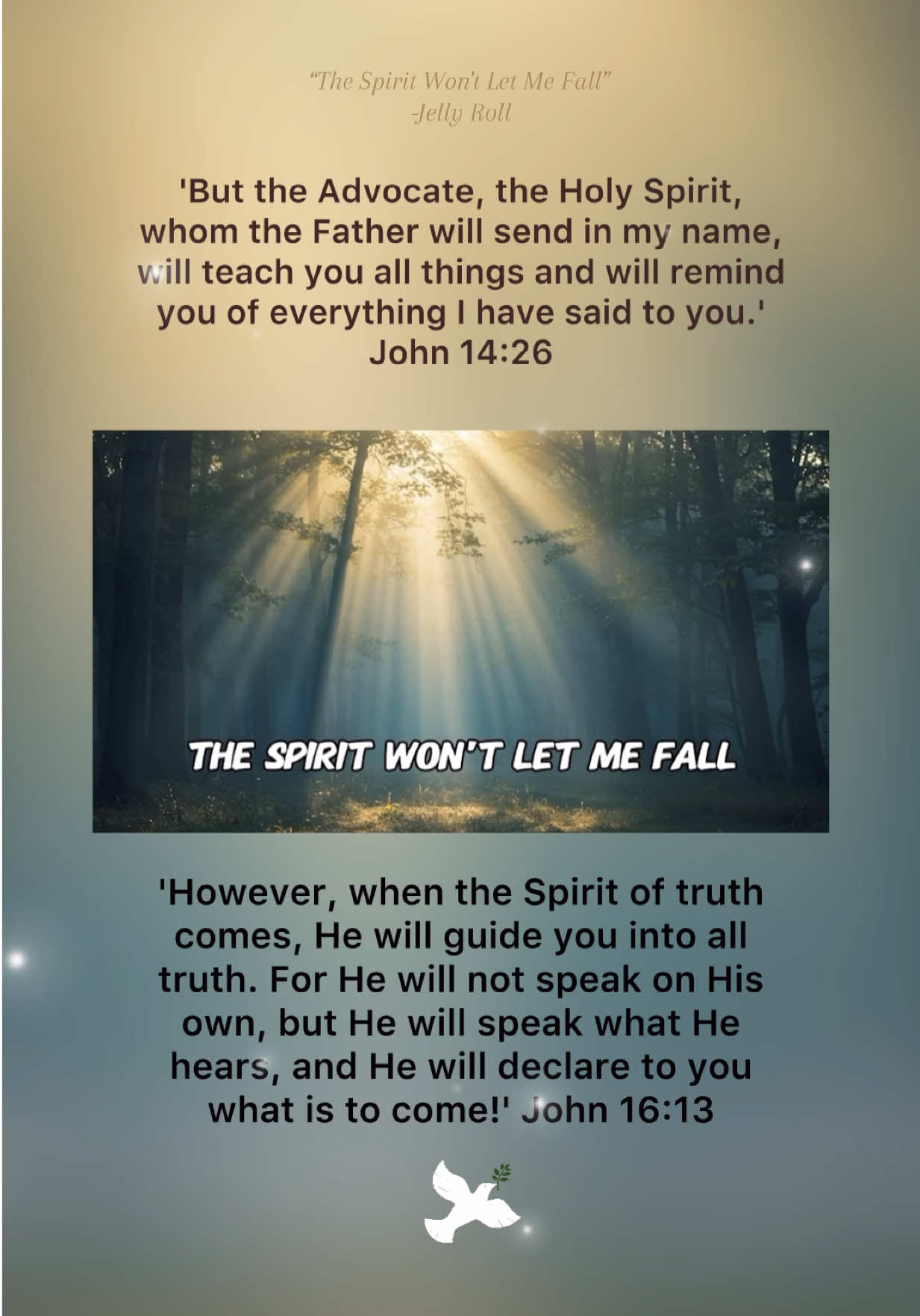 The Spirit Won't Let Me Fall🕊️ #jesusfirst #jellyroll #john  #mightynameofjesus #wordtoworship #peace #joy #sorrow #keytovictory #holyspirit #bannerhigh #battlecry #bibleverses #helifts #kingokings #inlight #thynameisJesus #beingmum #sons #daughters #faith #christianmusic #praiseandworship #worshipmusic #rejoiceinchaos #amen #lyrical #inclusive #fypfyp 