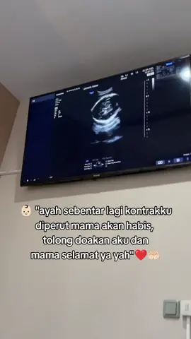 sehat