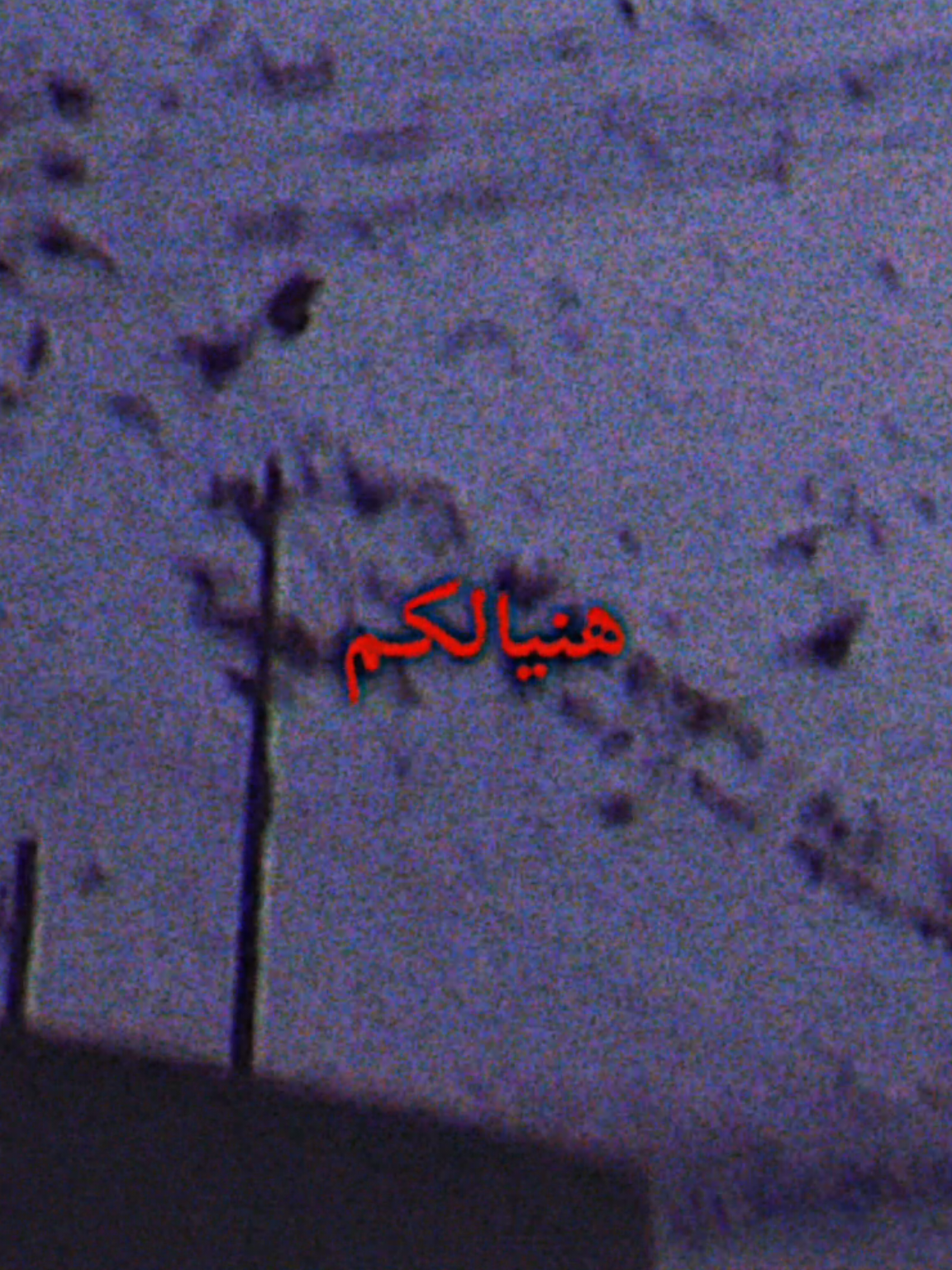 هنيالكم عدكم كلب ينسى العشك عمر هادي #عمر_هادي #موالات_حزينة_عراقية💔 #موال #تصميم_فيديوهات🎶🎤🎬 #Sing_Oldies 