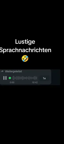 #🤣 #🤣🤣🤣 #lustigesprachnachricht #lustig 