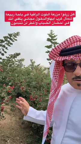 هل زرتوا مزرعة التوت الراقية في باحة ربيعة شمال غرب ابهاوالدخول مجاني يكفي انك في احضان الضباب والمطر لن تندمون فطير وقهوة سعودي  وشاي وحميص وتوت  والدخول مجاني  https://maps.app.goo.gl/V3TnvgvRXZRMywzv6?g_st=com.google.maps.preview.copy#أبها #عسير #اكسبلور 
