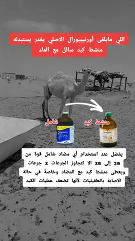 جرعة المضاد ماتتعدى ٣ جرعات#مزاين_الابل #نوادر #الطوقي🐪 #الصياهد_رماح 