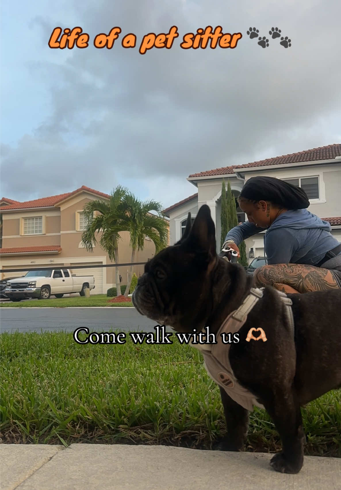 My favorite Frenchie house 💕🤏🏼 #frenchiesoftiktok #petsitter #dogwalk #dogwalking #dogwalker 