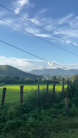 🏞️🍃🤍#nature #Fyp #myanmar 🇲🇲