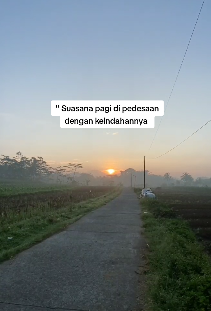 pagi yang cerah ... #fypage #fypシ゚ #temanggung #temanggung 