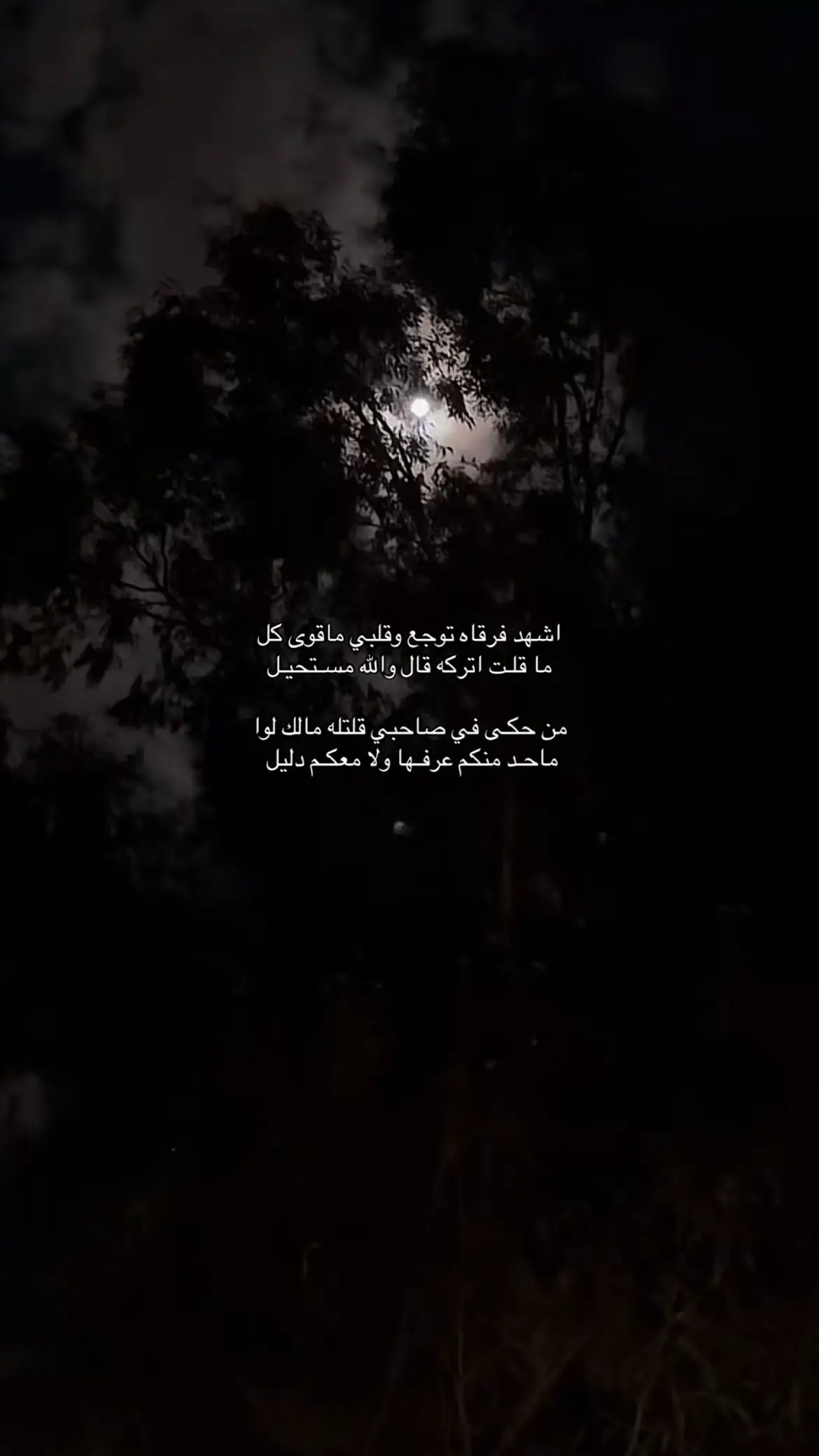 #اشهد فرقاه توجع وقلبي #fypシ゚viral #fyp #لايك_متابعه_اكسبلور #foryou 