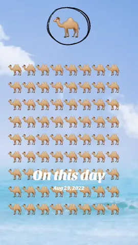 #onthisday #fypシ゚viral #rosenazaire4 #rosenazaire5 #videotiktok😇😇 