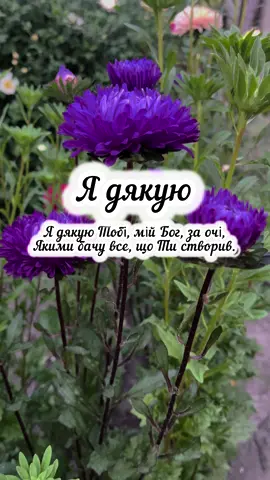 Дякую, Боже за все! #дякую #подяка #thanksandgiving #вірші 