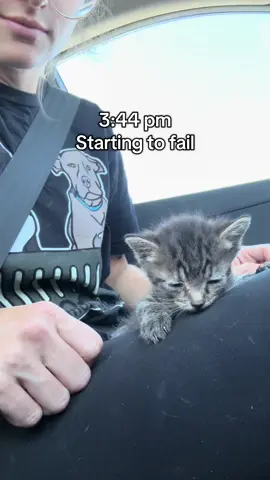 Bottle babies are NOT for the weak #what #foster #kcmo #animaloutreach #dogrescue #fosteringsaveslives 