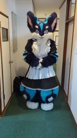 メイドケモノさんにダイビングしてみた✨#fursuit #furry #furryfandom 