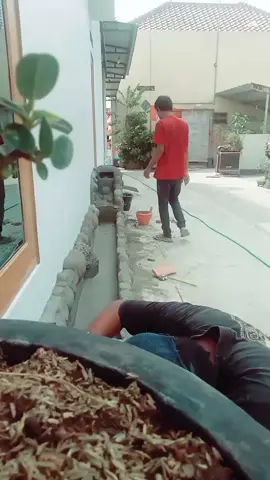 🌿🌿🌿🌿