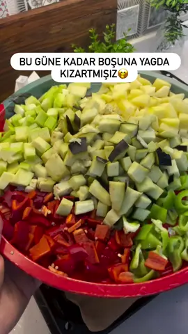 Herkese merhaba arkadaşlar havalar sicak gercekten ocak başında yağda sebzeleri kIzartmaya hiç gerek yok bu yöntemle gerçekten c kadar lezzetli oluyor ki Sebzeler sizde kizartma yapacaksınız eğer yağda değilde firinda yapın arkadaşlar @nigarinblogu Bütün sebzeleri kuşbaşı doğradıktan sonra firın tepsisine koyup yarım çay bardağı zeytinyagı ile harmanlıyorum daha sonra tuz ilave ediyorum ve her her yere eşit bir sekilde elimi düzleştiriiyorum daha sonra 180de firinda pişiriyorum Sebzeler üzeri kızarınca pişmiş mi test ediyoruz daha sonra servis tabağini alıp ılik olunca sarımsaklı yoğurt, #fyp #viral #keşfet 