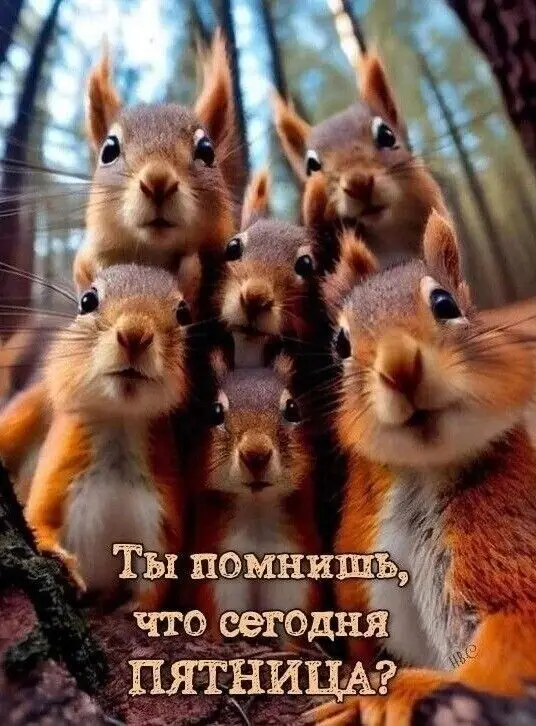 #юмор 