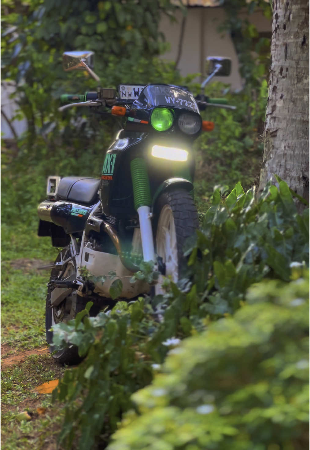 මූන හැරවෙන්නැති ඒවා 💀💥#hondaax1_250💥❤️‍🔥🥵 #fyp #onemillionaudition #foryoupage #bike #highcapacitysrilanka🇱🇰 #honda #foryou #bikevideo 