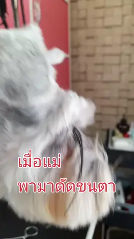 เกิดเป็นหญิง ขนตาต้องอย่าตก