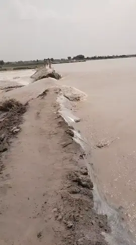 جھانگڑا دریائے ستلج