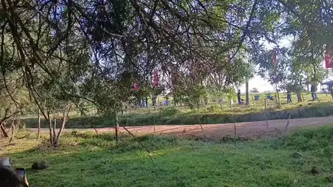 🤯 Despegando !!! Munster Ford Puma Rally 1  #wrcparaguay2025 