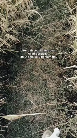 #fyppppppppppppppppppppppp #gabahbalap🌾 