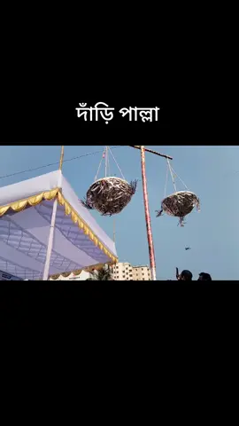 #জামায়াতে_ইসলামি_বাংলাদেশ  #বাংলাদেশ_ইসলামী_ছাত্রশিবির  #foruyou #tiktokvairal 