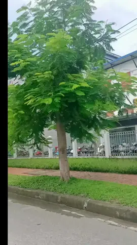 kỷ niệm . không hẹn gặp lại #đoicongnhan 