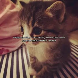 #fyyyyyyyyyyyyyyyy #щитпост #отношения #fyp #viral 