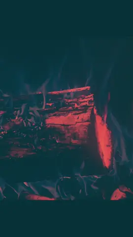 #paratii #flypシ 