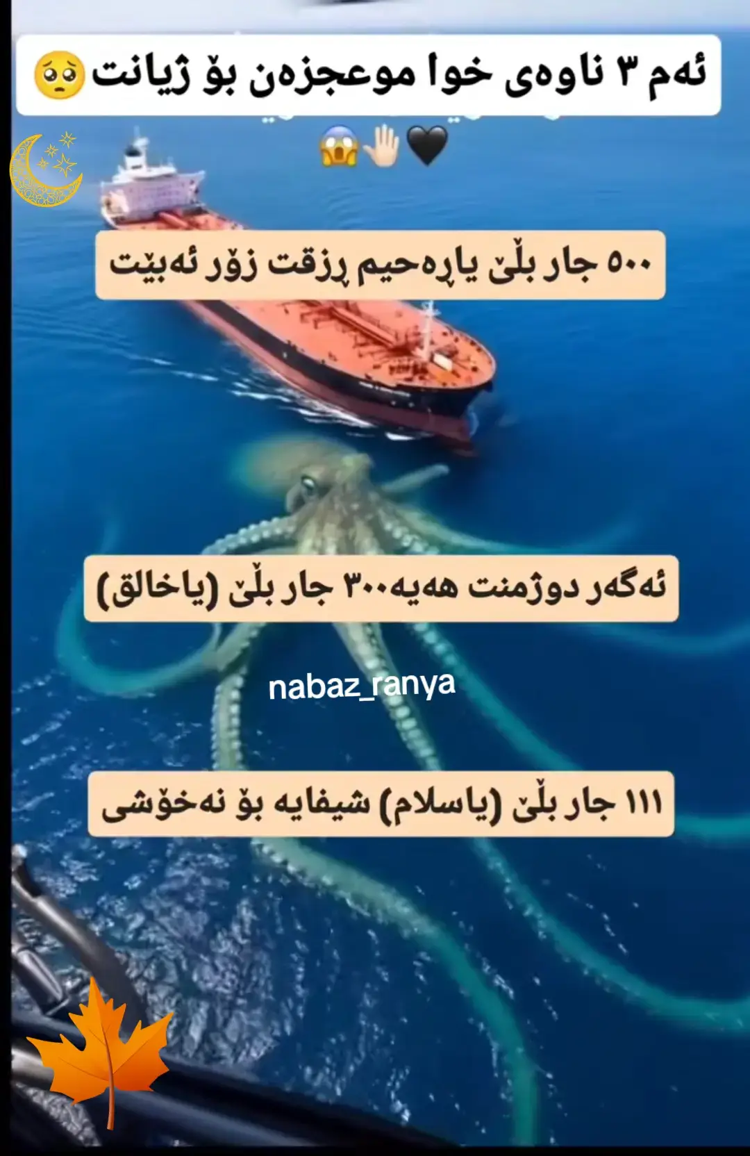 #ranyakam___hawler___slemani_karkwk_ 
