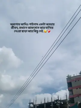 অবশেষে আমিও পাইলাম একটা অসহায় জীবন, যেখানে আফসোস আর মানিয়ে নেওয়া ছাড়া আর কিছু নেই#foryou #foryou #foryoupage #foryoupage #bairalvideo 