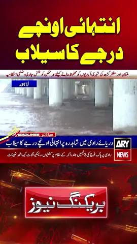 #ARYnews