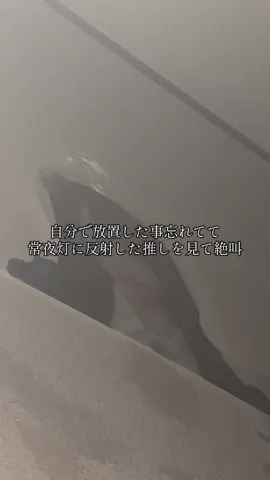 びびったわぁwww #fyp #心霊 #アイドル #谷崎早耶 