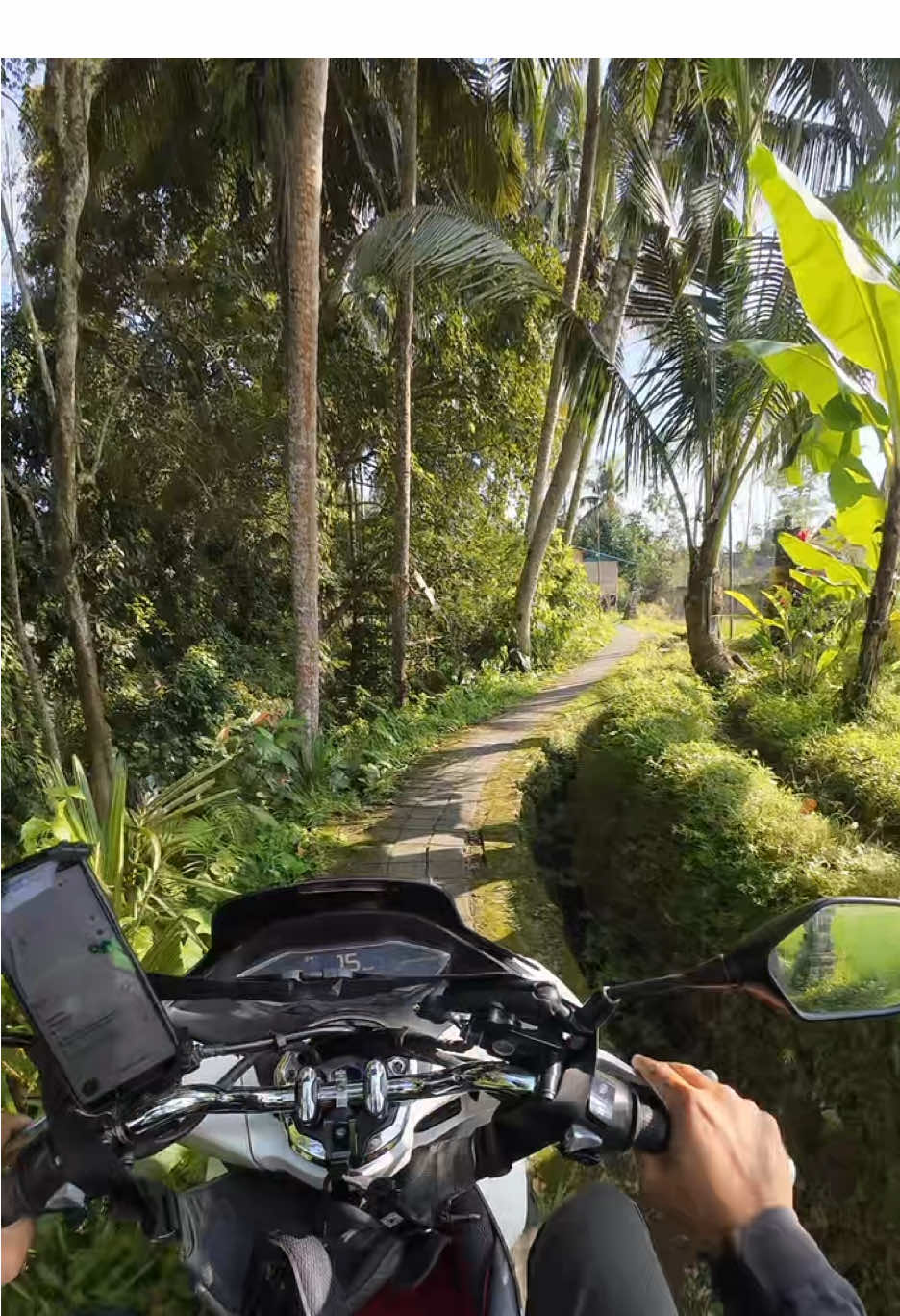 Part 97 living on the edge #baligojekwithlove #fyppppppppppppppppppppppp #fyp #ubud #bali 
