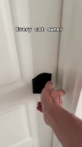 No such thing as privacy when you have  a cat. But that’s ok, she can go with me any time ❤️ #catsoftiktok #catfamily #mycat #tabbycat #cat #kitten 