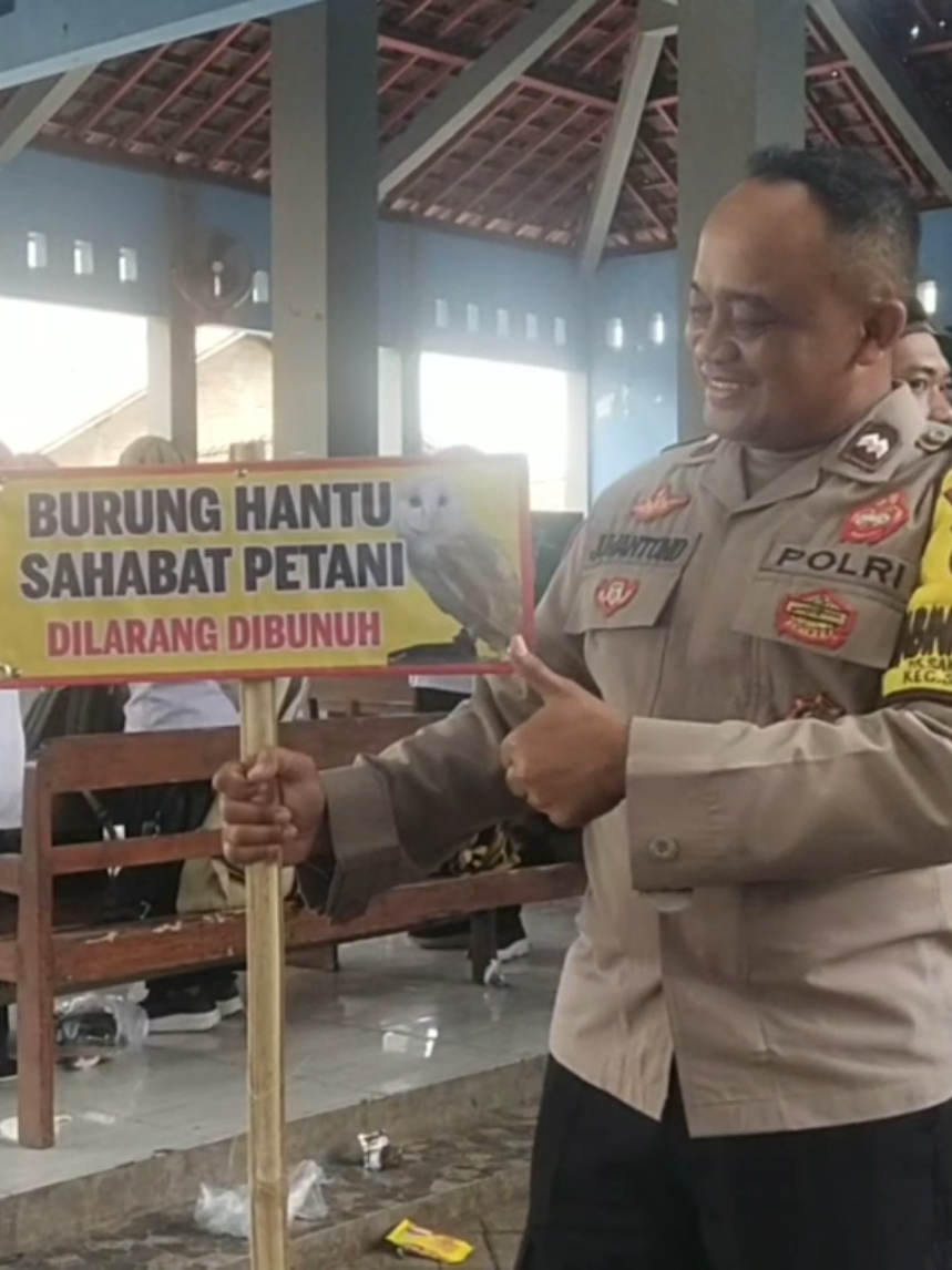 solusi hama tikus #hamatikus #swasembadapangannasional 