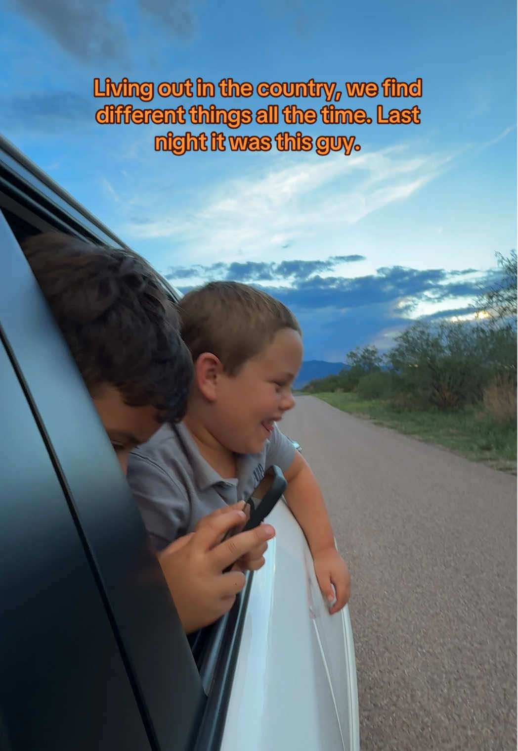It’s the little things that make them happy, they were so excited!  #autismawareness #autismfamily 