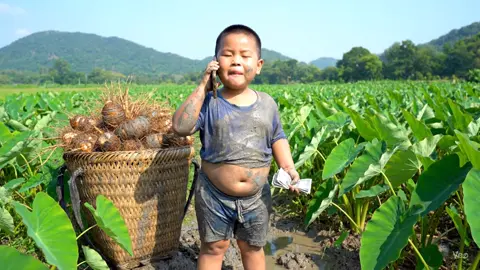Ngày 30/08 #xuhuongtiktok #tailocthinhvuong #locvutru #locantamlinh #xuhuong 
