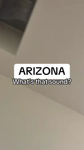 @EDDIE GONZALEZ @Tayłør @Dj Real @🌶️Mustache Robbie  #arizona #arizonacheck #arizonastate 