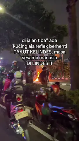 Situ manusia apa anjinggg?!!! #viraltiktok #storymalam #fyp 