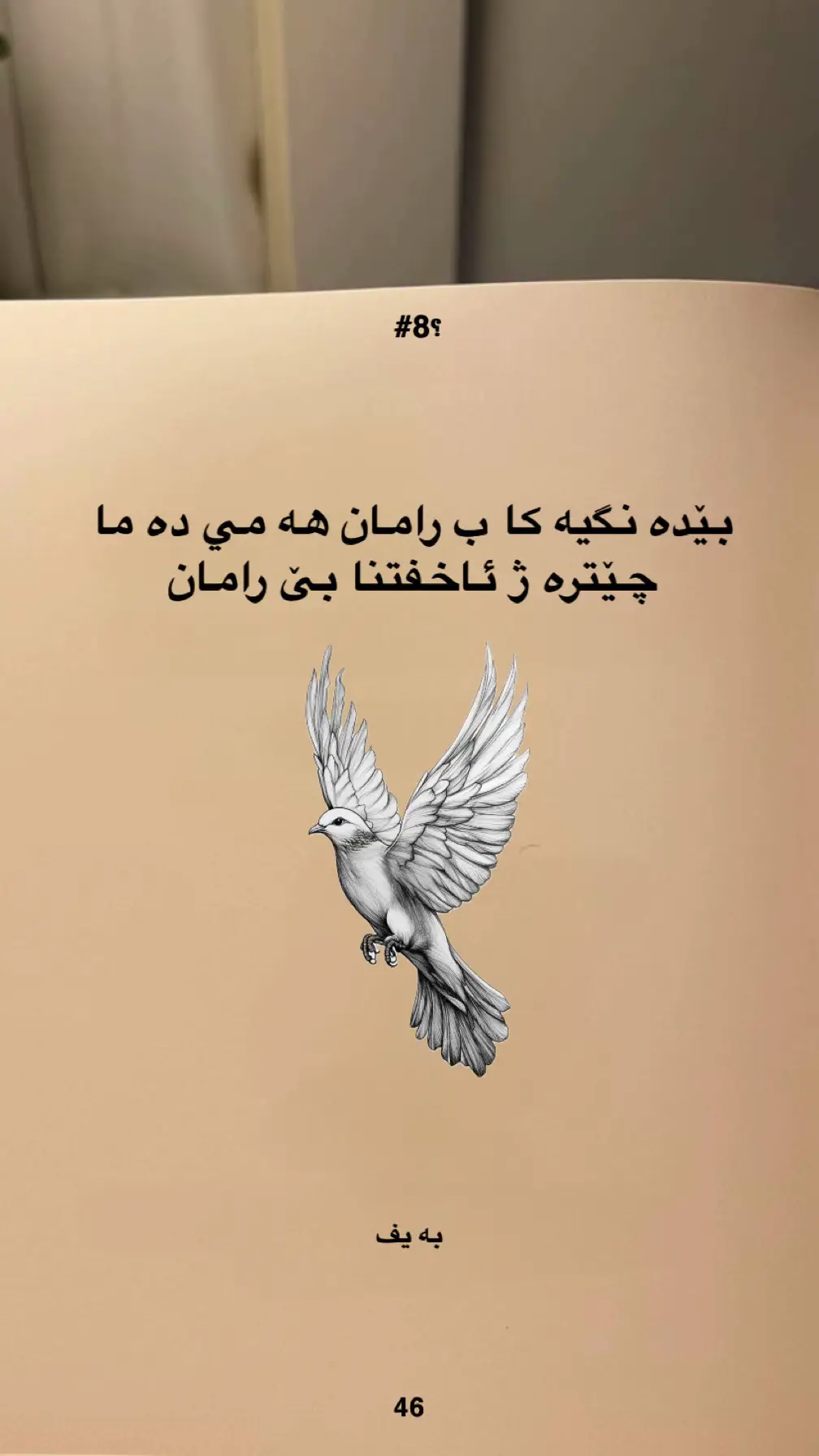 #الكسبور#fyppppppppppppppppppppppp#duhok_zaxo_amedi_semel_akre#fyp#foryoupage 
