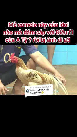 Trả lời @tinho1156 