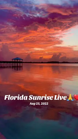 These moments make it worth it🫶🏻 #live #florida #sunrise #fire #sky 