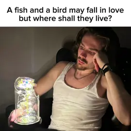 What do you think?