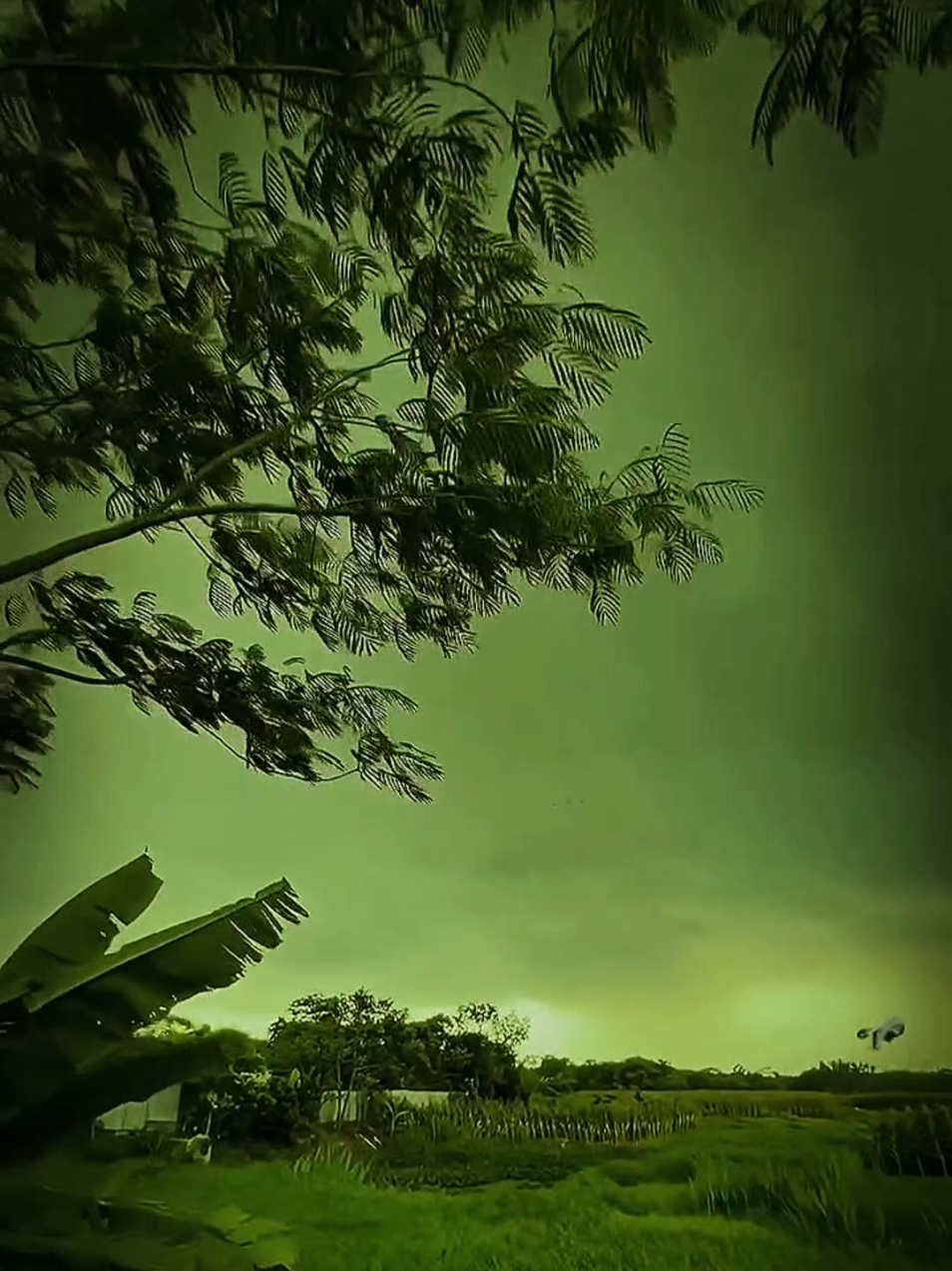 nature sound tranding  #darkvibestamilbgm #naturevibes #darkphotography #naturedark #tamilsongbgm  tamil bgm dark nature  nature tamil song music status 