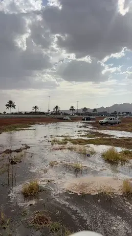 #حايل  