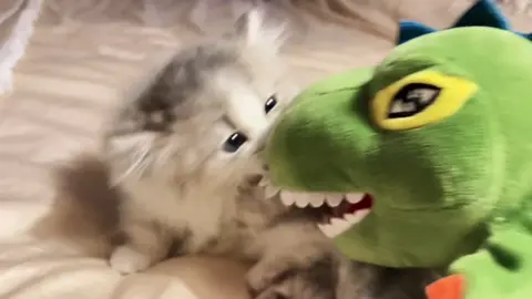 やだ😖