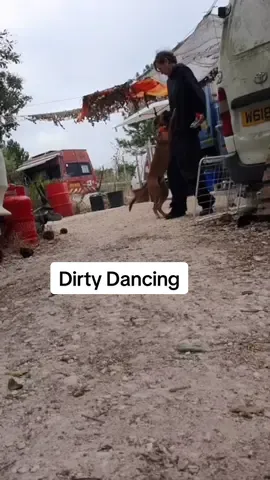 Working with a dog in Portugal who’s arousal can be so extreme he chased her up a tree biting at her. Not aggressive. Frustrated. This is one week in and already the wheels are turning in another direction. They are working in an orchard with horses and tourists so lots of distraction that’s unavoidable. She’s doing an amazing job 👌🏼 #portugal🇵🇹  #rescuepup  #pitmix 