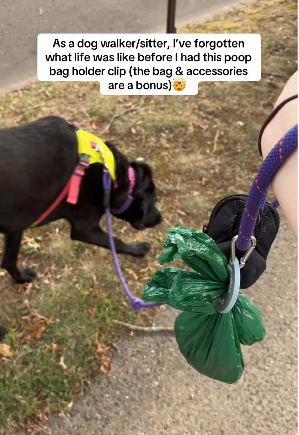 I don’t miss having to carry 💩 bags in my hand during walks. 10/10 recommend. 🙌🏼  This set also comes with a blue collapsible slow feeder bowl, matching eco-friendly 💩 bags, and a matching reflective leash. Bag can be worn as a crossbody, a shoulder bag, or a fanny pack!  #puppington #dogs #dogwalker #dogsitting #adopt 