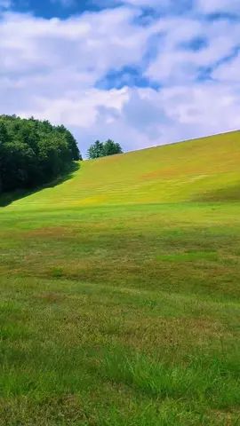 I found the Microsoft field #field #microsoft #touchgrass 