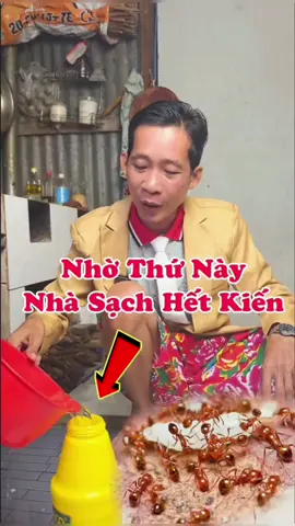 Nhà Sạch Kiến Khi Làm Cách Này #nhipsongmoi #meovat #nsm 
