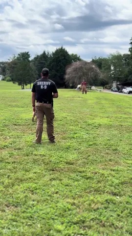 Gotta love a solid recall! 💪 #obedience #bite #control #workingdog 