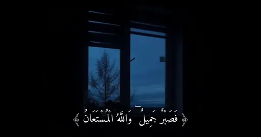 #كلام_من_ذهب #ستوريات #اقتباسات #عبارات #fyp 
